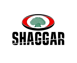 Sheger City